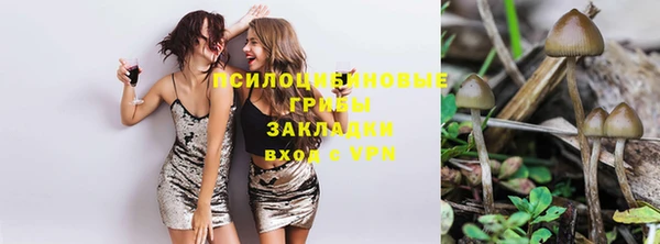 эйфоретик Кукмор