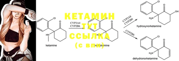 эйфоретик Кукмор