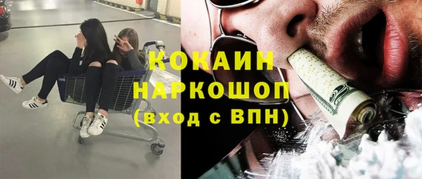 эйфоретик Кукмор