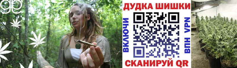 Конопля гибрид  Купить закладки  Сальск 